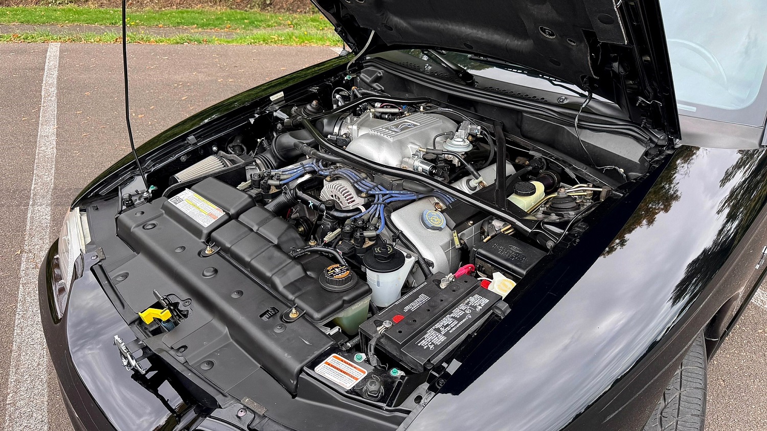 1996 Ford Mustang SVT Cobra convertible